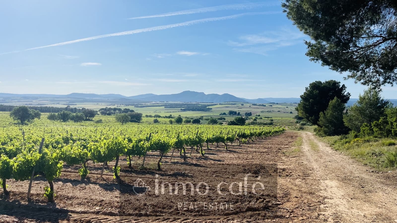4 bedroom Finca/Country House for sale in Fontanars dels Alforins - € 2,200,000 (Ref: 9866173)