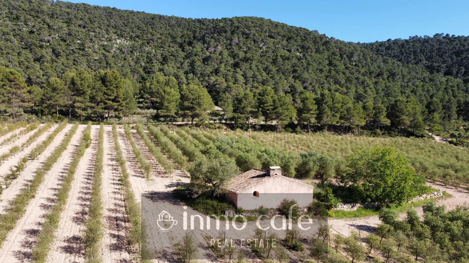 4 bedroom Finca/Country House for sale in Fontanars dels Alforins - € 2,200,000 (Ref: 9866173)