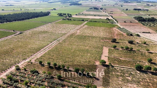 4 sypialnia Finka/Dom wiejski na sprzedaż w Fontanars dels Alforins - 2 200 000 € (Ref: 9866173)