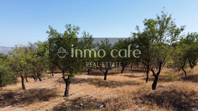 Landgrundstück zu verkaufen in Biar - 45.000 € (Ref: 9958950)