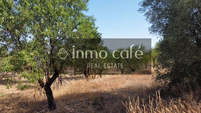 Landgrundstück zu verkaufen in Biar - 45.000 € (Ref: 9958950)