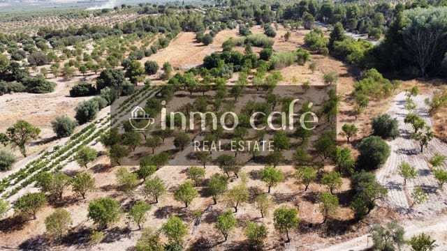 Landgrundstück zu verkaufen in Biar - 45.000 € (Ref: 9958950)