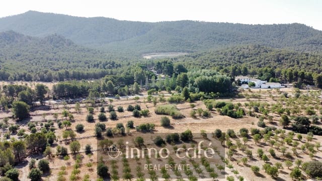 Terreno/Finca Rústica en Biar en venta - 45.000 € (Ref: 9958950)