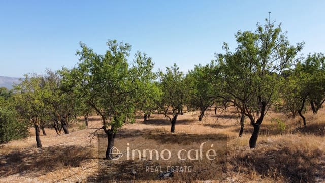 Terreno/Finca Rústica en Biar en venta - 45.000 € (Ref: 9958950)