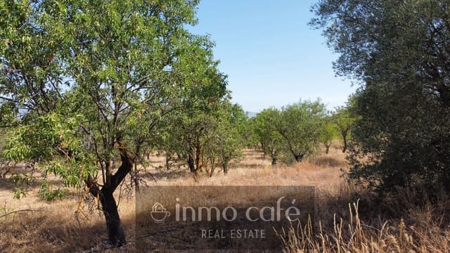 Terreno/Finca Rústica en Biar en venta - 45.000 € (Ref: 9958950)