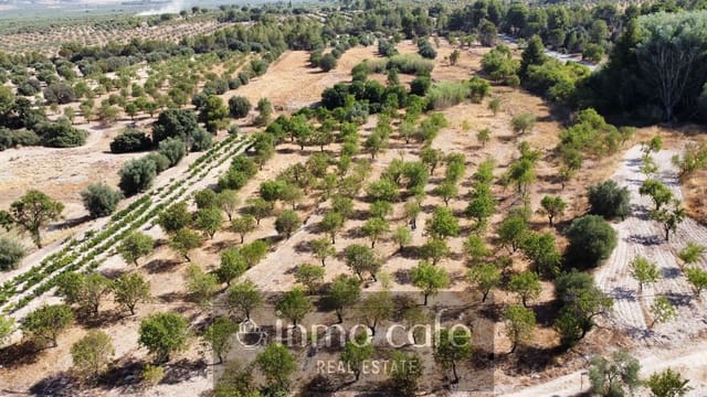 Terreno/Finca Rústica en Biar en venta - 45.000 € (Ref: 9958950)