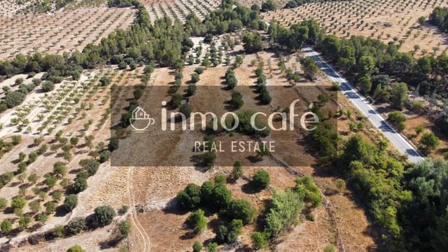 Landgrundstück zu verkaufen in Biar - 33.000 € (Ref: 9958951)