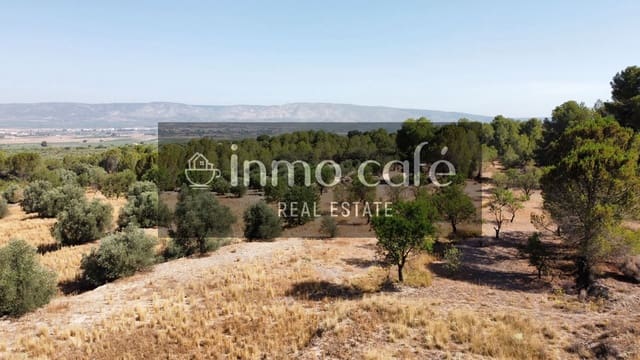 Landgrundstück zu verkaufen in Biar - 33.000 € (Ref: 9958951)