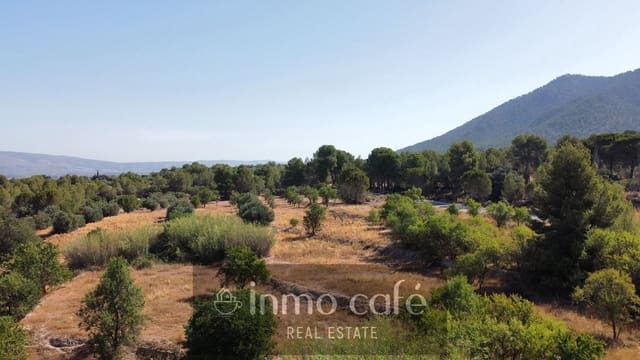 Mark till salu i Biar - 33 000 € (Ref: 9958951)