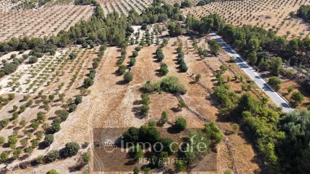 Mark till salu i Biar - 33 000 € (Ref: 9958951)