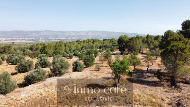 Mark till salu i Biar - 33 000 € (Ref: 9958951)