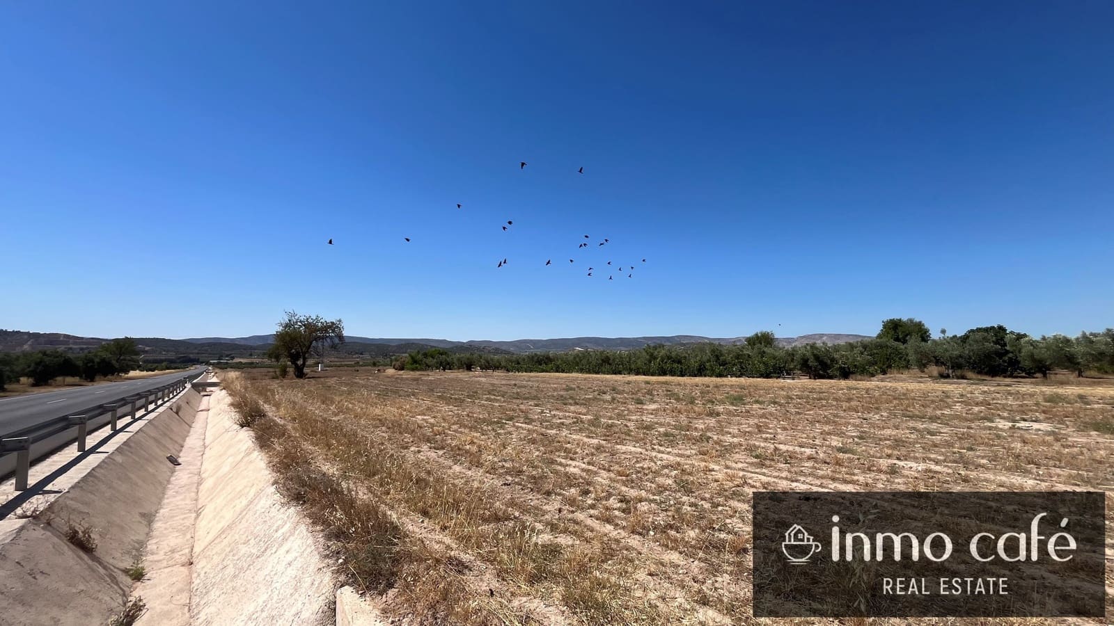 Undeveloped Land for sale in Biar - € 16,000 (Ref: 9961029)