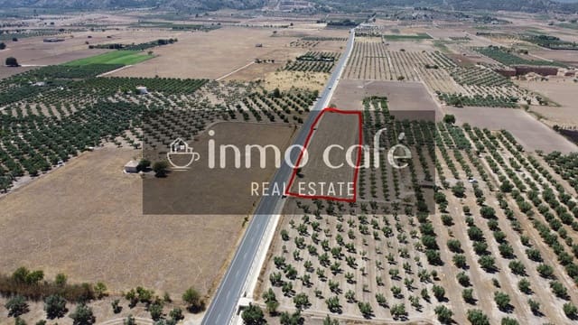 Terreno/Finca Rústica en Biar en venta - 16.000 € (Ref: 9961029)