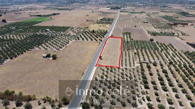 Terreno Não Urbanizado para venda em Biar - 16 000 € (Ref: 9961029)