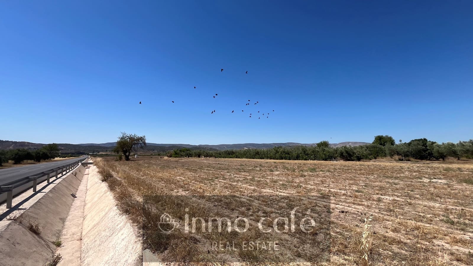 Undeveloped Land for sale in Biar - € 16,000 (Ref: 9961029)