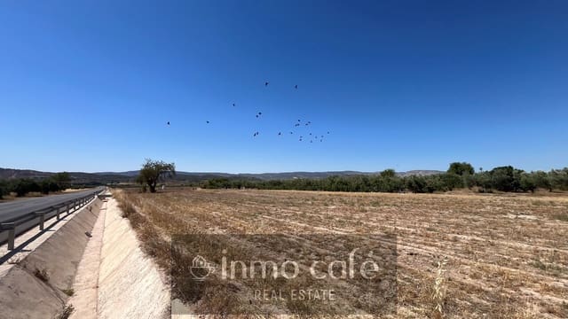 Terreno Não Urbanizado para venda em Biar - 16 000 € (Ref: 9961029)