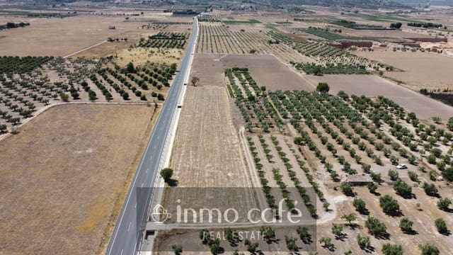 Terreno Não Urbanizado para venda em Biar - 16 000 € (Ref: 9961029)
