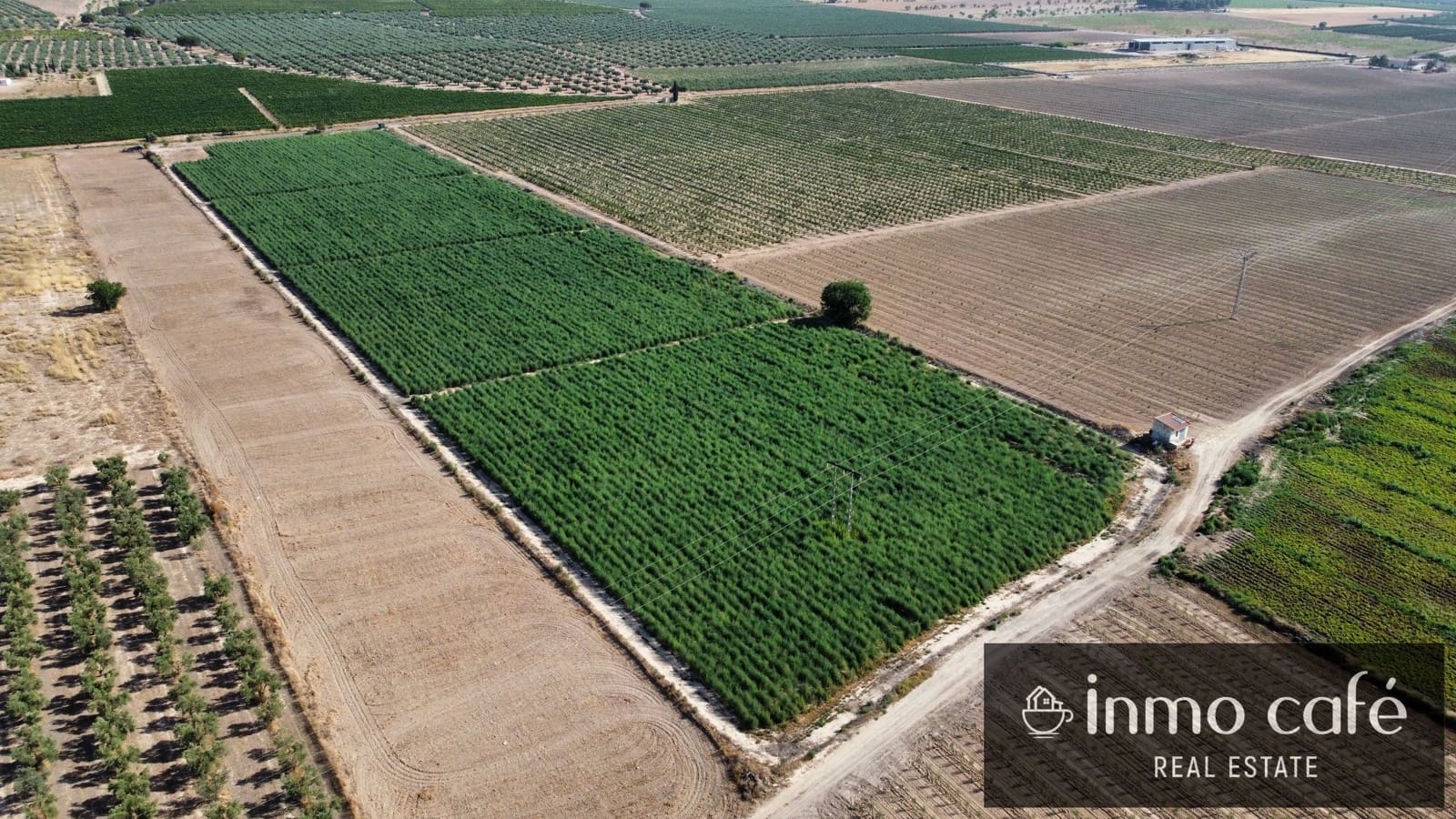 Terreno Non Edificato in vendita in Villena - 90.000 € (Rif: 9961030)