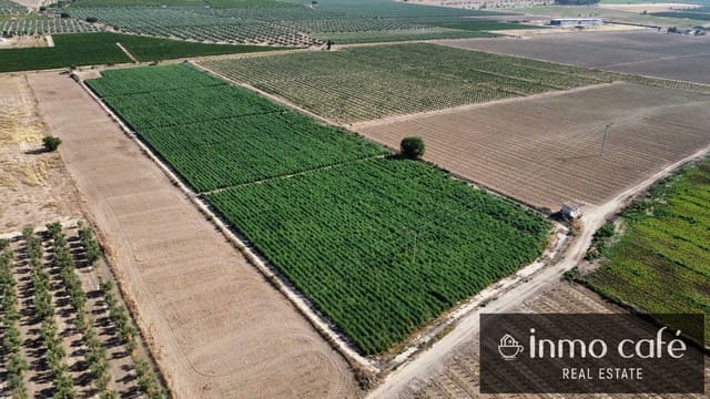 Mark till salu i Villena - 90 000 € (Ref: 9961030)