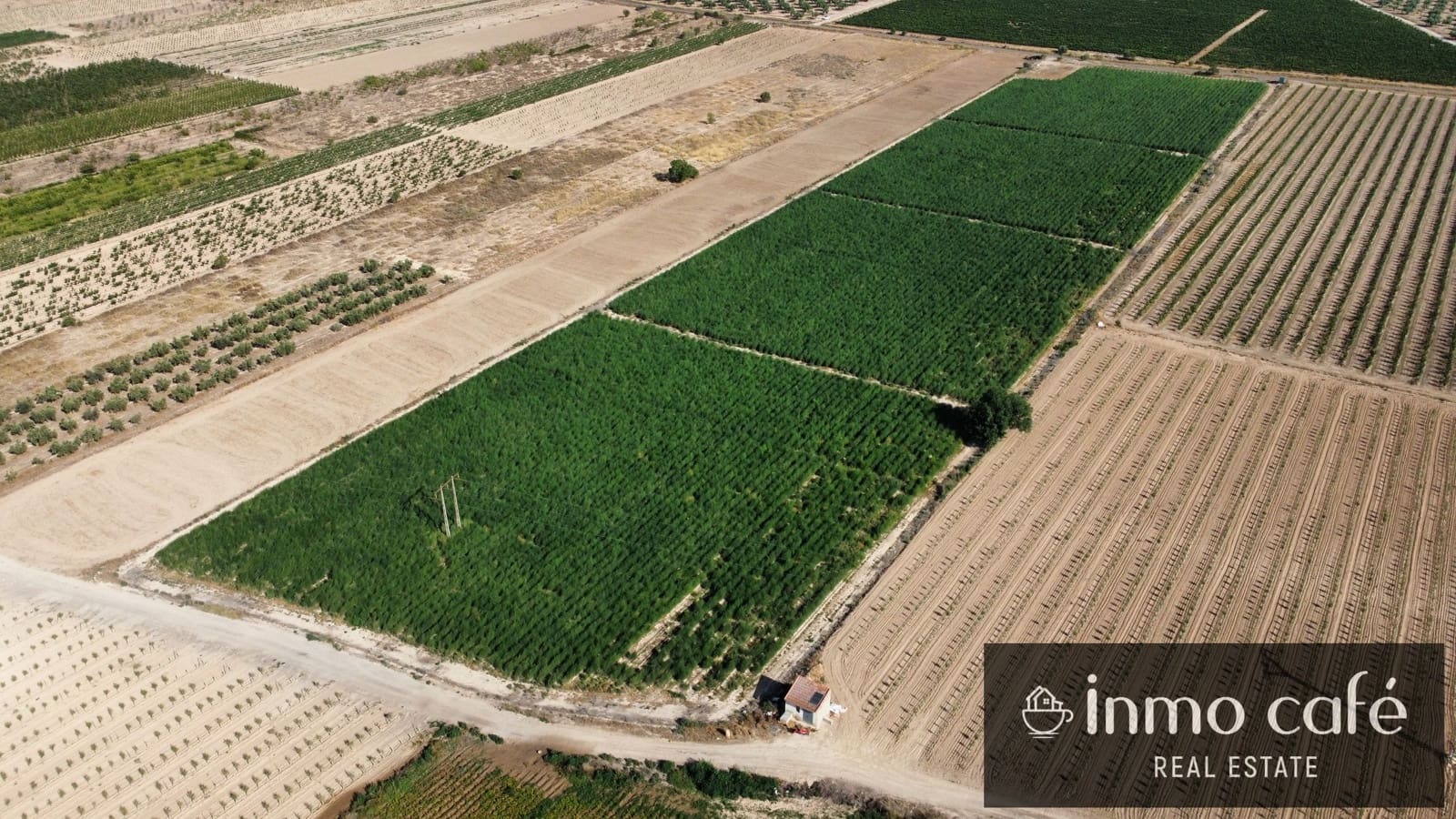 Terreno Non Edificato in vendita in Villena - 90.000 € (Rif: 9961030)