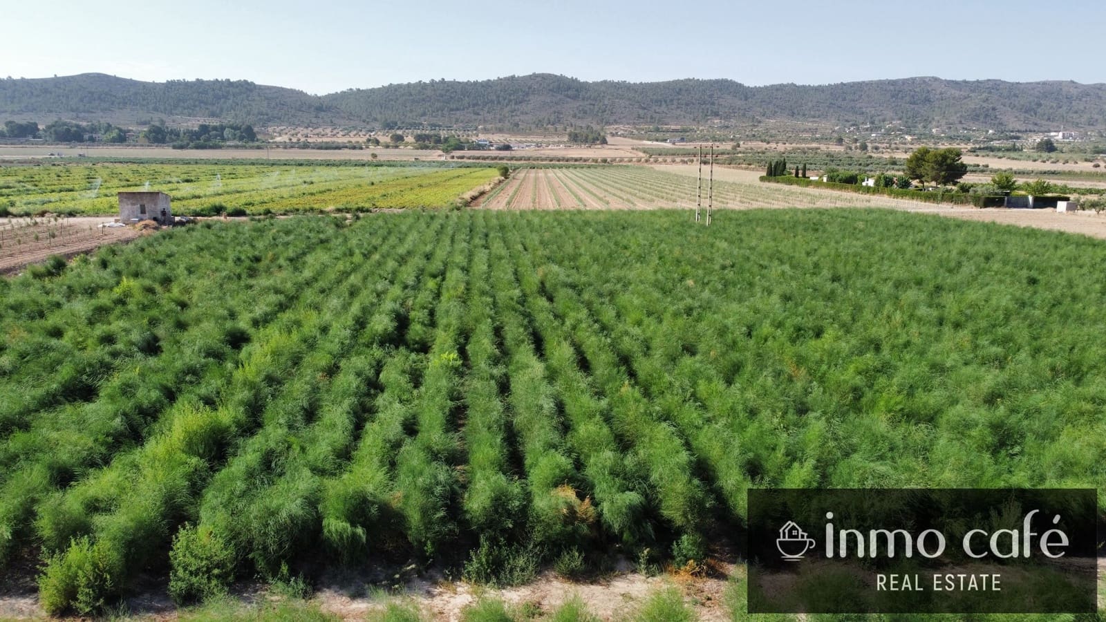 Terreno Non Edificato in vendita in Villena - 90.000 € (Rif: 9961030)