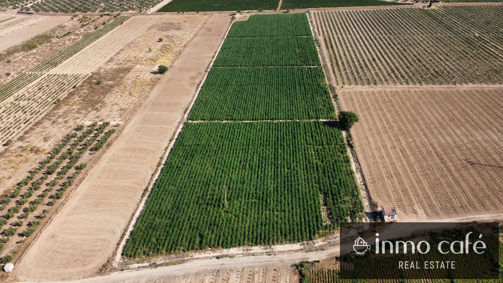Terreno Non Edificato in vendita in Villena - 90.000 € (Rif: 9961030)
