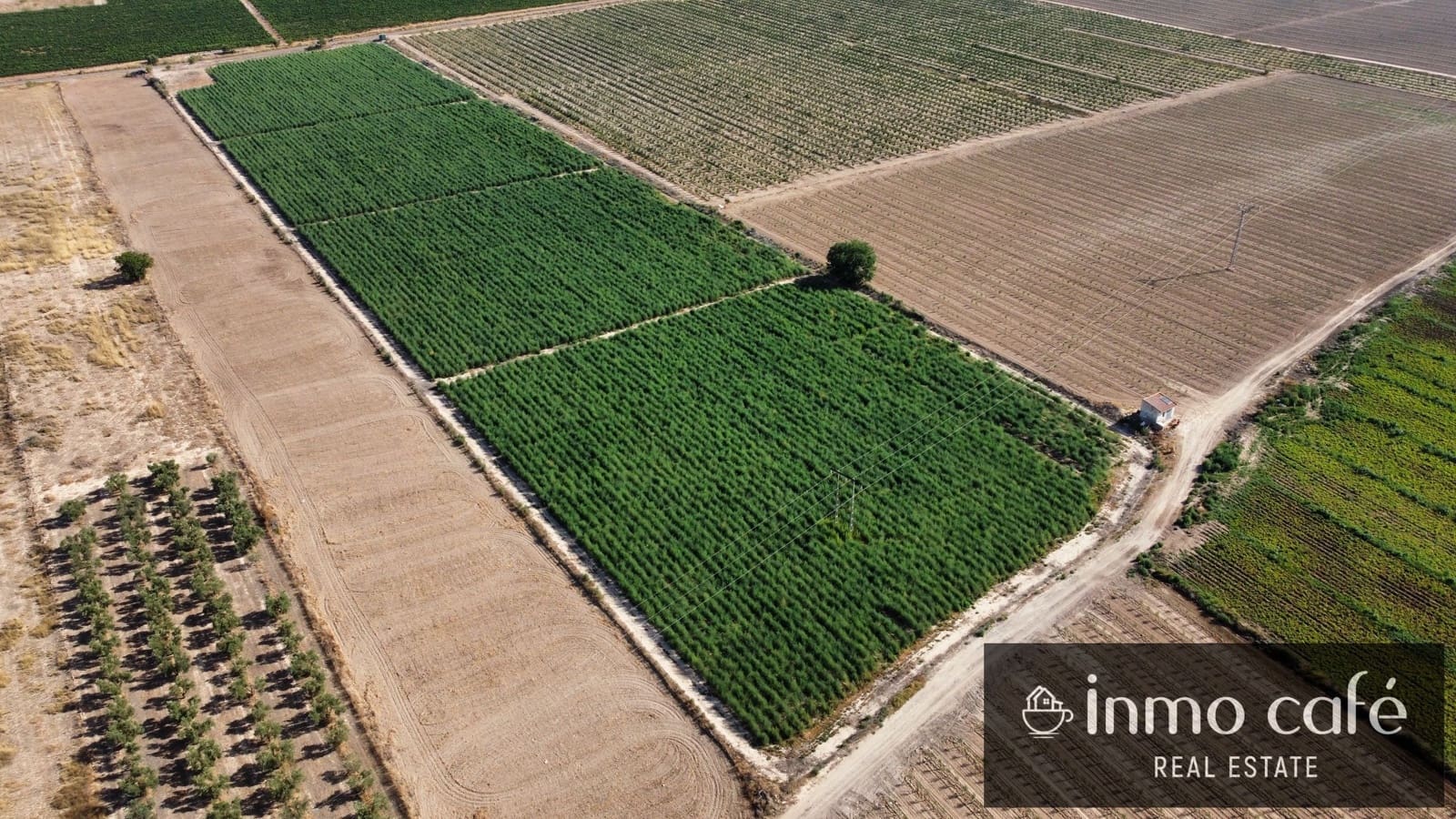 Terreno Non Edificato in vendita in Villena - 90.000 € (Rif: 9961030)
