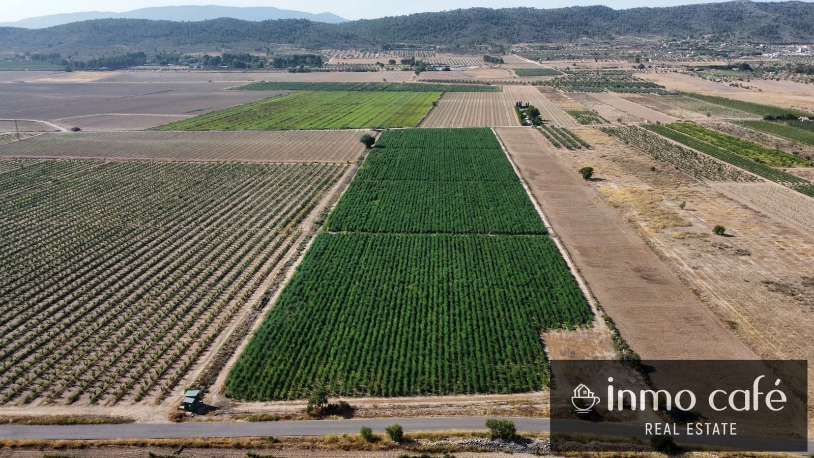 Terreno Non Edificato in vendita in Villena - 90.000 € (Rif: 9961030)
