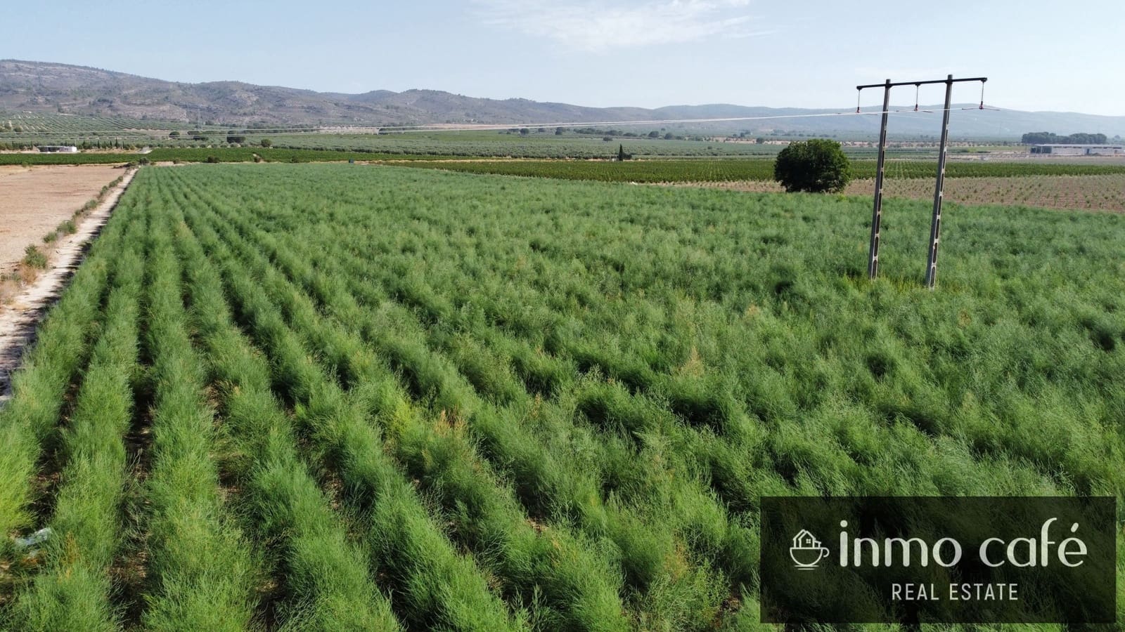 Terreno Non Edificato in vendita in Villena - 90.000 € (Rif: 9961030)