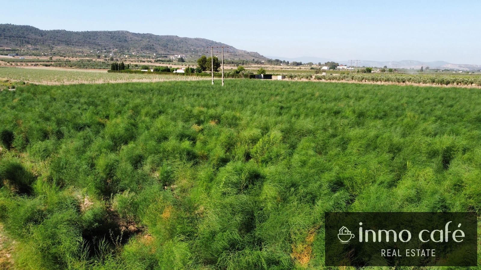 Terreno Non Edificato in vendita in Villena - 90.000 € (Rif: 9961030)