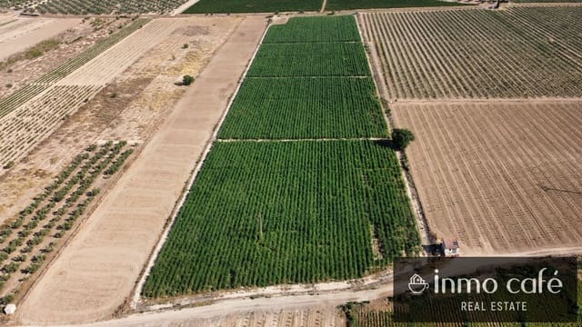 Mark till salu i Villena - 90 000 € (Ref: 9961030)