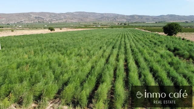 Mark till salu i Villena - 90 000 € (Ref: 9961030)