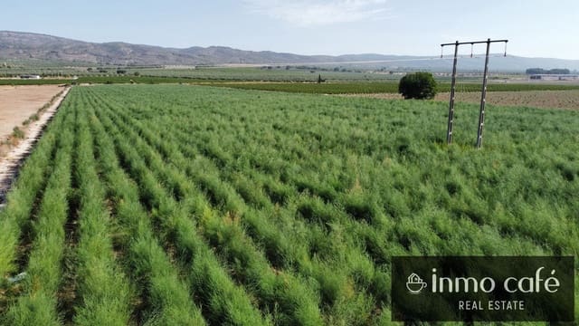 Mark till salu i Villena - 90 000 € (Ref: 9961030)