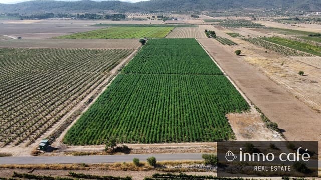 Mark till salu i Villena - 90 000 € (Ref: 9961030)