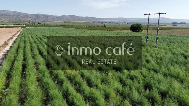 Teren niezagospodarowany na sprzedaż w Villena - 90 000 € (Ref: 9961030)
