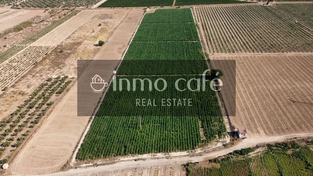 Teren niezagospodarowany na sprzedaż w Villena - 90 000 € (Ref: 9961030)
