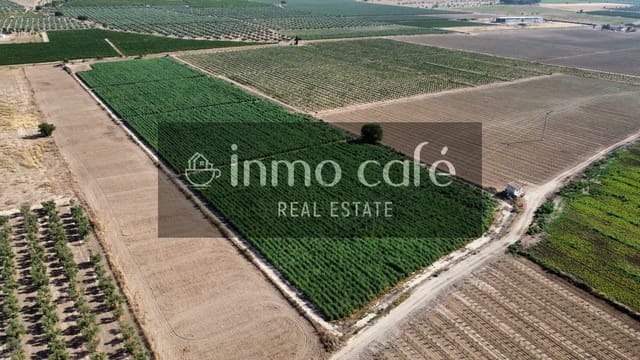 Teren niezagospodarowany na sprzedaż w Villena - 90 000 € (Ref: 9961030)