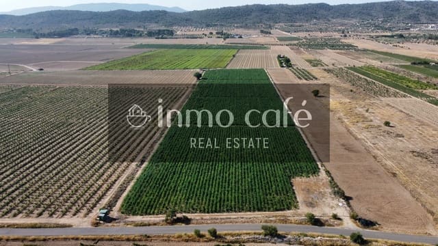 Teren niezagospodarowany na sprzedaż w Villena - 90 000 € (Ref: 9961030)