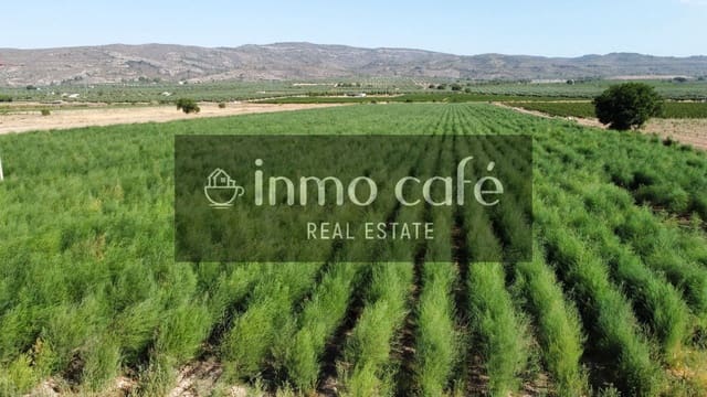 Teren niezagospodarowany na sprzedaż w Villena - 90 000 € (Ref: 9961030)