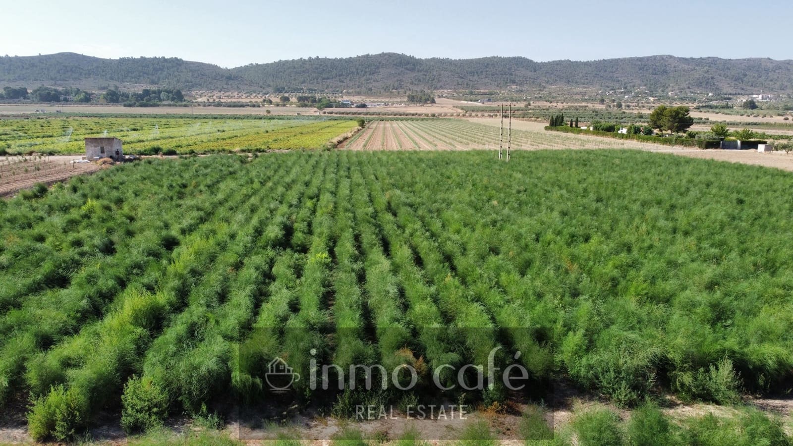 Undeveloped Land for sale in Villena - € 90,000 (Ref: 9961030)