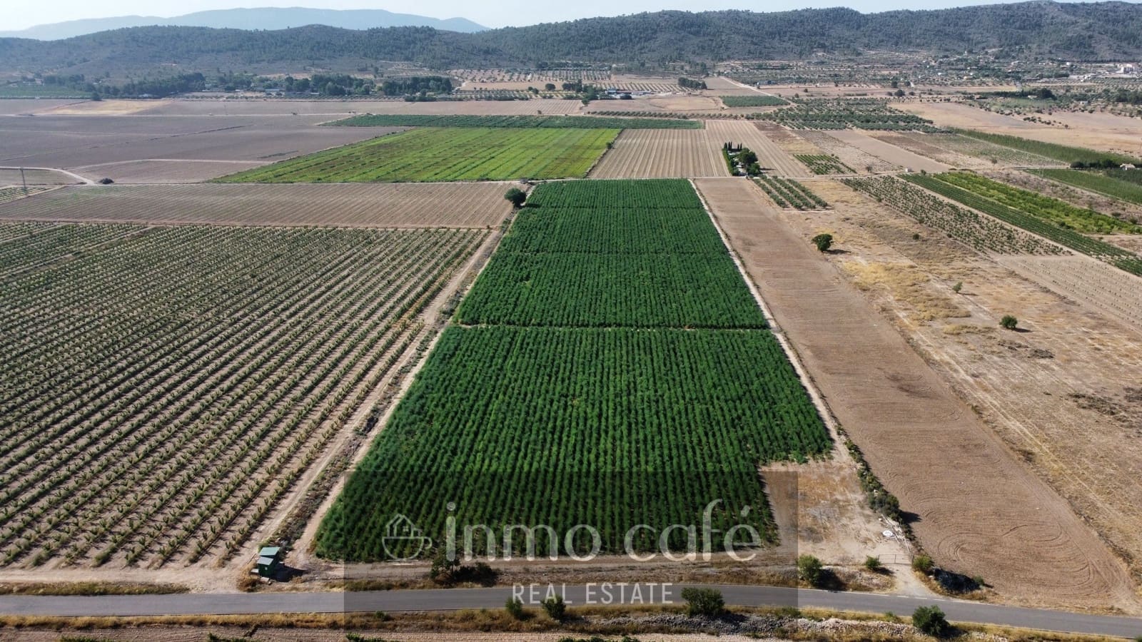 Undeveloped Land for sale in Villena - € 90,000 (Ref: 9961030)