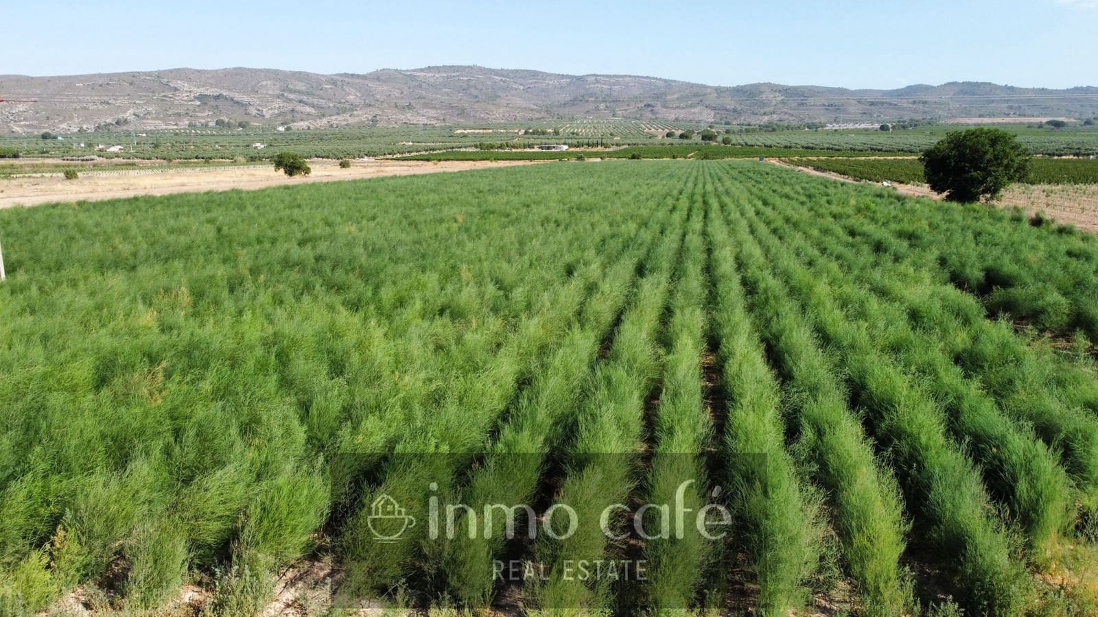 Undeveloped Land for sale in Villena - € 90,000 (Ref: 9961030)