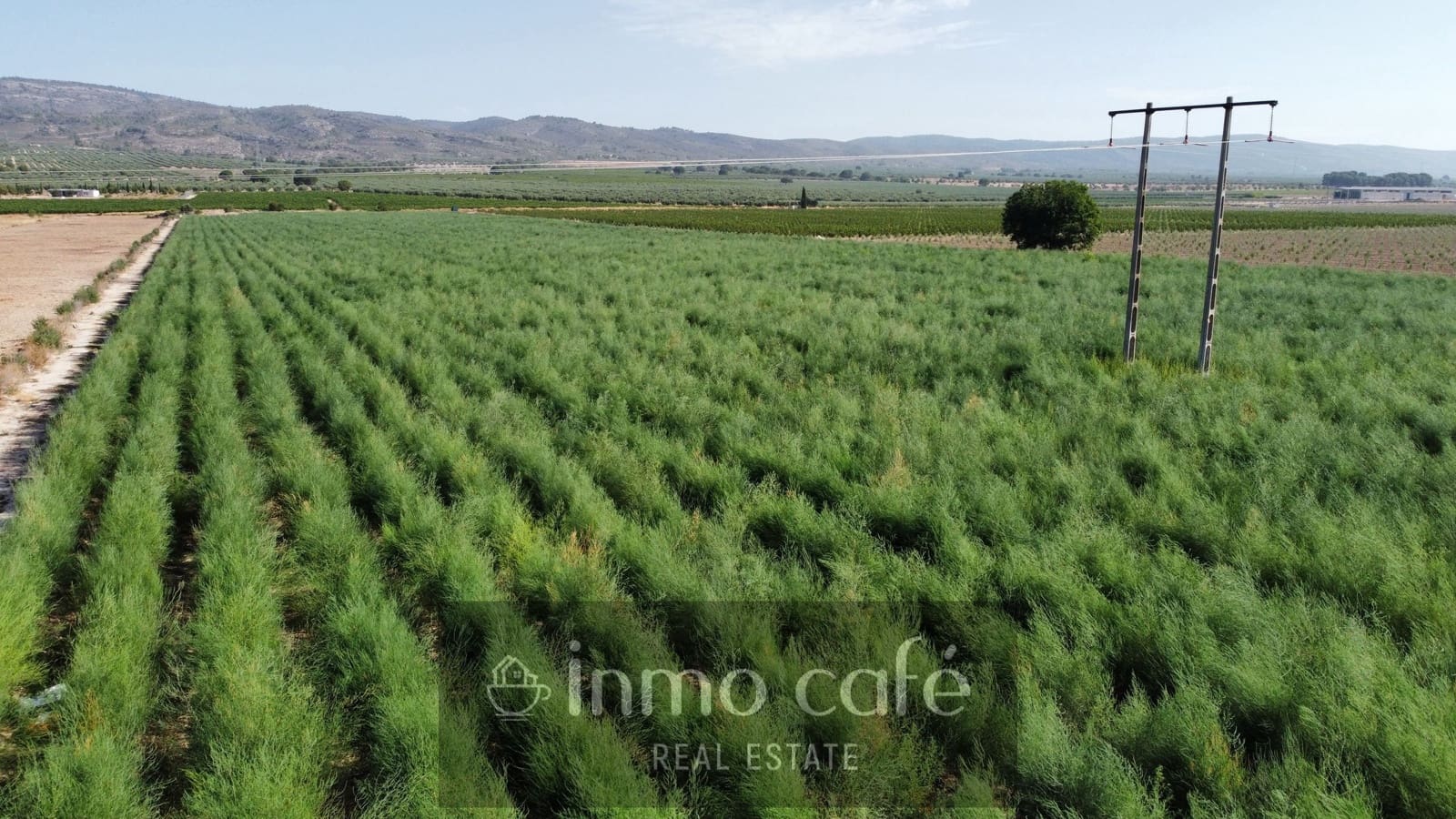 Undeveloped Land for sale in Villena - € 90,000 (Ref: 9961030)