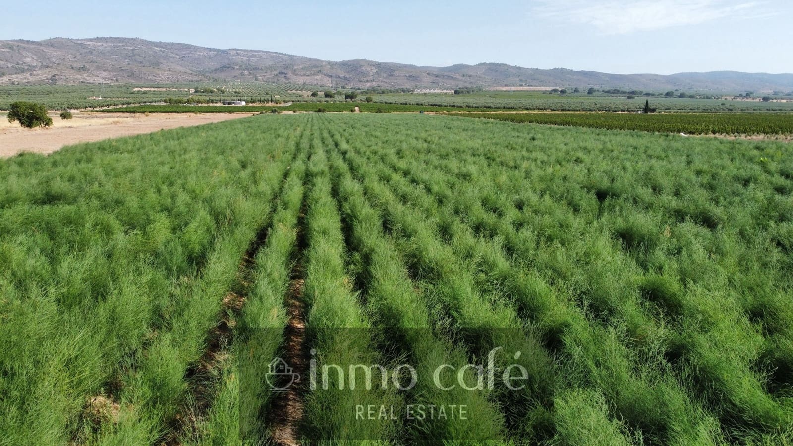 Undeveloped Land for sale in Villena - € 90,000 (Ref: 9961030)