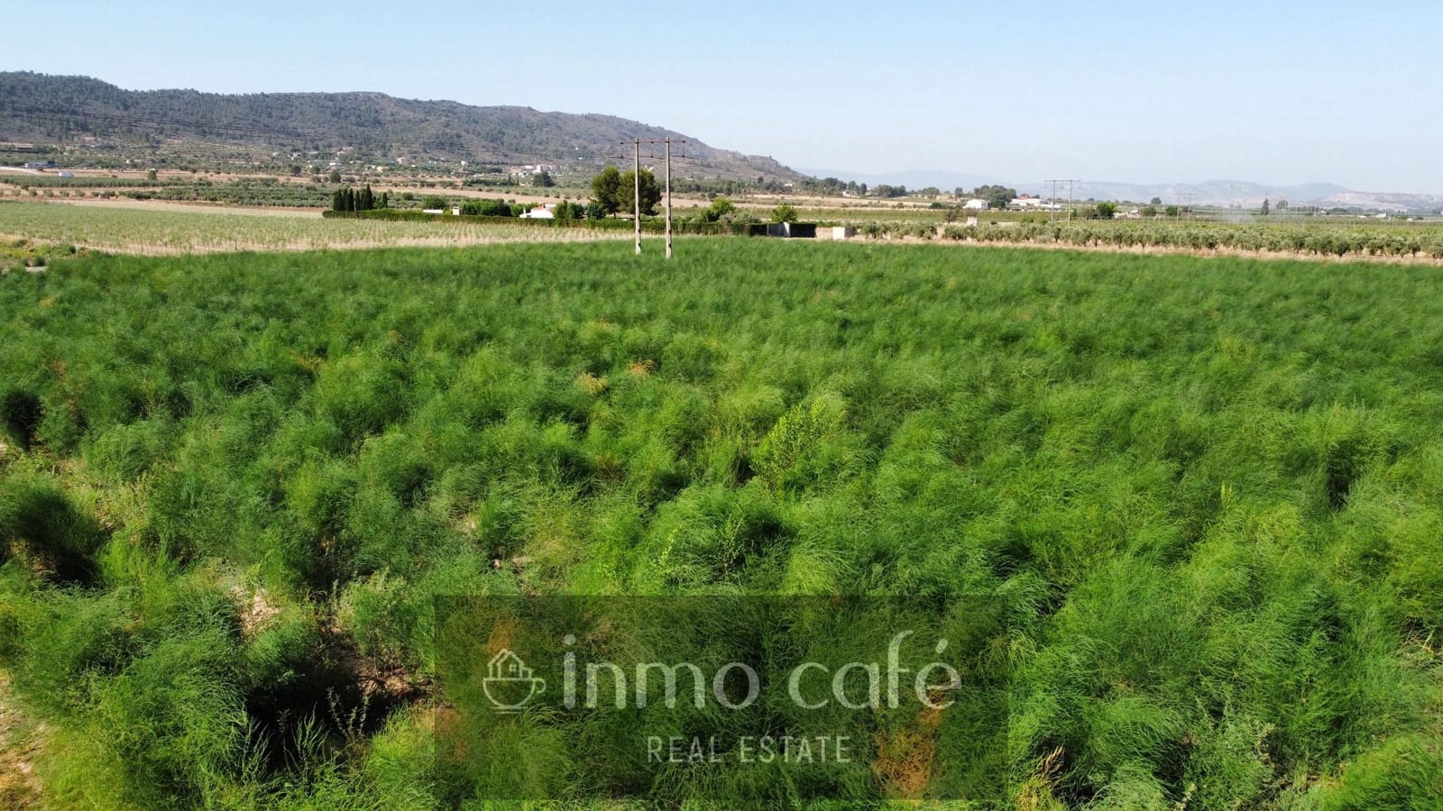 Undeveloped Land for sale in Villena - € 90,000 (Ref: 9961030)