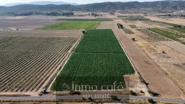 Terreno/Finca Rústica en Villena en venta - 90.000 € (Ref: 9961030)