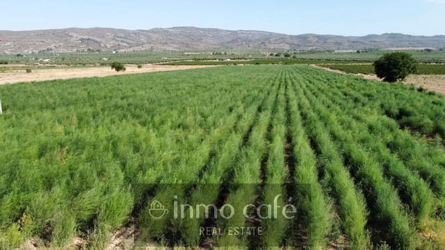 Terreno/Finca Rústica en Villena en venta - 90.000 € (Ref: 9961030)