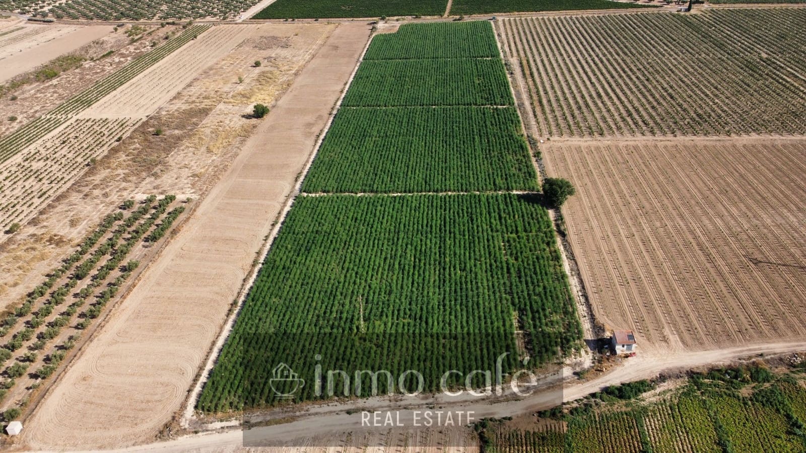 Undeveloped Land for sale in Villena - € 90,000 (Ref: 9961030)