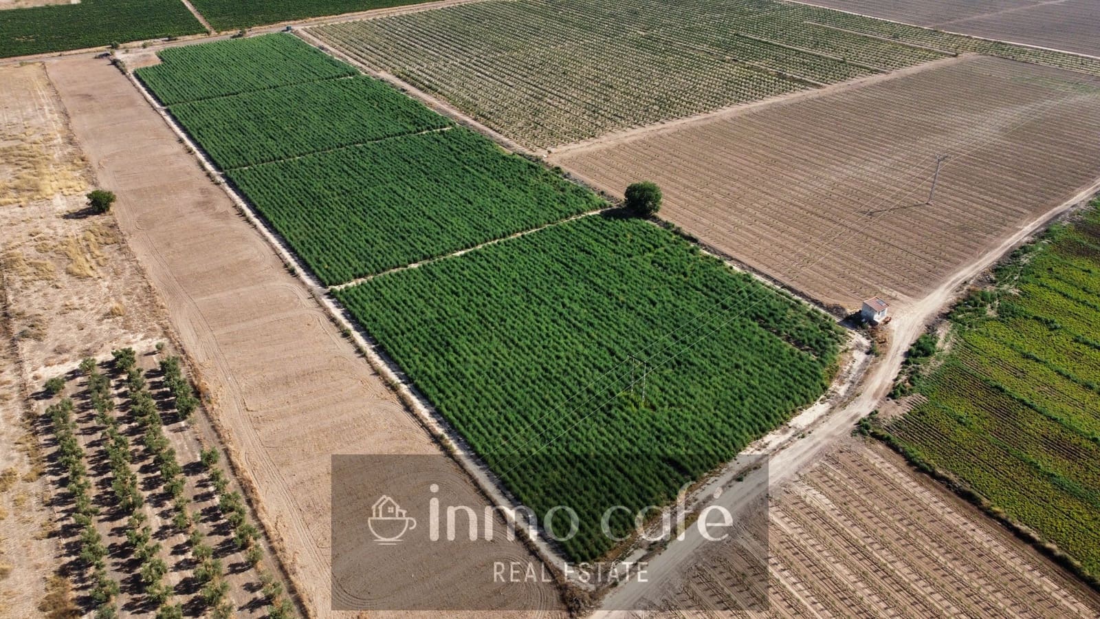 Undeveloped Land for sale in Villena - € 90,000 (Ref: 9961030)