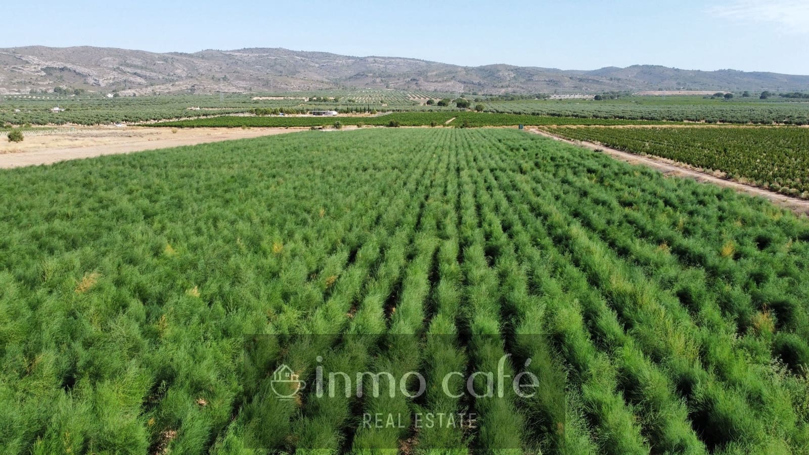Undeveloped Land for sale in Villena - € 90,000 (Ref: 9961030)